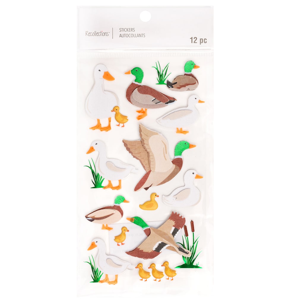 12 Pack: Duck Stickers by Recollections™